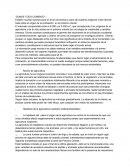 El origen de la civilización en el próximo oriente: Agricultura, urbanismo y transformaciones sociales