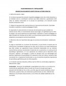 TALLER INDIVIDUAL N°1 “ARTICULACIÓN” (BASADO EN DOCUMENTO ESCRITO POR MA VICTORIA PERALTA)