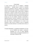 Entrevista psicológica, el rol que juega la empatía dentro de una entrevista