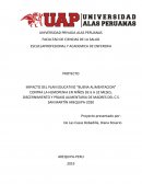 PROYECTO IMPACTO DEL PLAN EDUCATIVO “BUENA ALIMENTACION” CONTRA LA HEMOPENIA EN NIÑOS DE 6 A 32 MESES, DISCERNIMIENTO Y PRAXIS ALIMENTARIA DE MADRES DEL C.S SAN MARTÍN AREQUIPA-2020