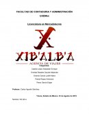 Avance Agencia de Viajes