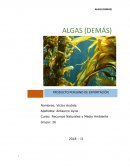 Algas (Demás) Producto de exportación