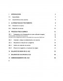 Horno de Limpieza de Escorias, proyecto con inyección de reductores