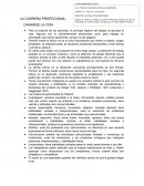 La carrera profecional