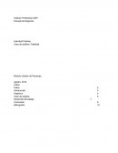 Actividad Práctica Caso de análisis: Falabella