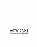 ACTIVIDAD 2 Representación Matricial