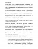 HECHOS MATERIA DE CONFLICTO, SEGÚN CRONOLOGIA