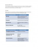 ANALISIS COMPETITIVO