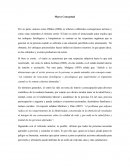 Marco Conceptual , estrés