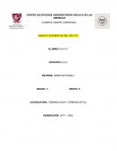 ENSAYO “ELEMENTOS DEL DELITO”