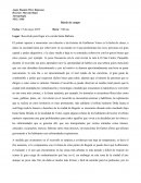 Diario de campo. Lugar: Recorrido para llegar a la vereda Santa Bárbara