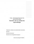 Caso electromovilidad