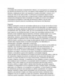 Evidencia de aprendizaje U1, contexto socio-económico de México