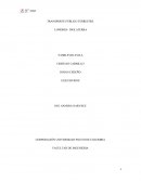 TRANSPORTE PÚBLICO TERRESTRE