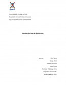 Resolución Caso de Blades, Inc