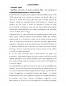 CASO MANGO Marketing Digital