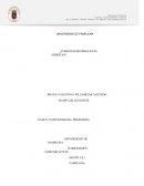 HABILIDADES COMUNICATIVAS