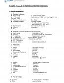 PLAN DE TRABAJO DE PRACTICAS PREPROFESIONALES