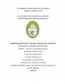 Ensayo sobre el feminismo y mulán