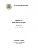 Analisis Matricial de elementos prismaticos