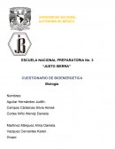 Biología. CUESTIONARIO DE BIOENERGETICA