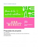 Ana Mendez proyecto integrador