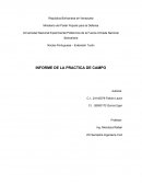Informe de Practica de Campo
