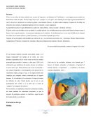 ANATOMIA OJO HUMANO, PRINCIPALES PATOLOGÍAS