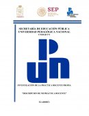 Descripcion de mi practica docente