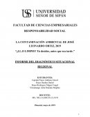 INFORME DEL DIAGNÓSTICO SITUACIONAL REGIONAL. LA CONTAMINACIÓN AMBIENTAL