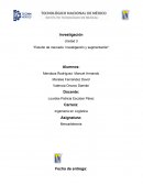 Estudio de Mercado- Investigación y Segmentación