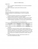 Similitud Hidrológica