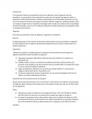 Características de las Exposiciones de los Equipos