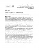 PRACTICA 3. IDENTIFICACION DE LOS CARBOHIDRATOS