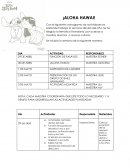 ALOHA HAWAI cronograma de actividades