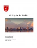 Region del Bio-Bio
