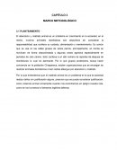 El abandono y maltrato animal