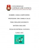 AVANCES EN REGENERACIÓN AUDITIVA. ESTADO ACTUAL Y PERSPECTIVAS FUTURAS