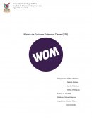 Evaluación de Factores Externos: Matriz EFE Empresa WOM