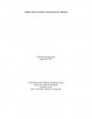 Análisis sobre las pruebas e instrumentos de evaluación