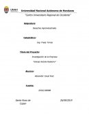 Desechos planta avicola