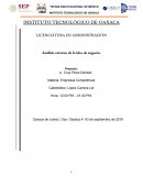 Análisis externo de la idea de negocio