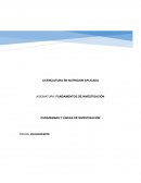 PARADIGMAS Y LÍNEAS DE INVESTIGACIÓN