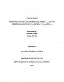 ANTEPROYECTO PARA EL MEJORAMIENTO DEL DISEÑO Y LA GESTION DE REDES Y SUMINISTROS EN LA EMPRES A CAUCAFLOR S.A