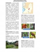 Informe reserva de yotoco