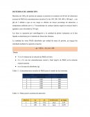 ISOTERMAS DE ADSORCIÓN
