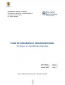 PLAN DE DESARROLLO ORGANIZACIONAL (Enfoque en habilidades blandas)