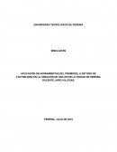 APLICACIÓN DE HERRAMIENTAS DEL PROMODEL A ESTUDIO DE FACTIBILIDAD EN LA CREACIÓN DE UNA IPS EN LA CIUDAD DE PEREIRA