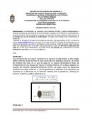 Teoría Electromagnética (MODALIDAD SEMESTRAL)