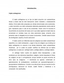 Tejido cartilaginoso y adiposo